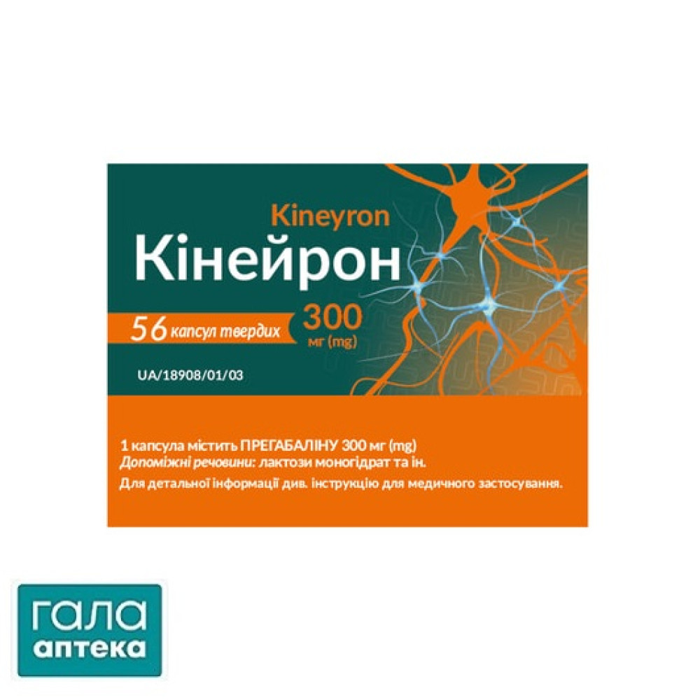 Кінейрон