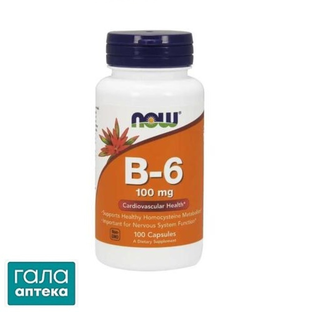 NOW B6 100мг капс. №100