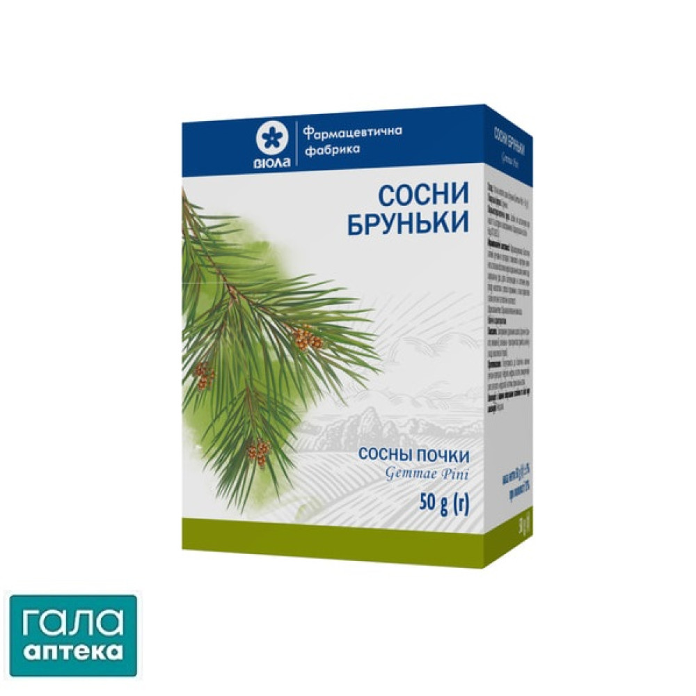 Сосни бруньки