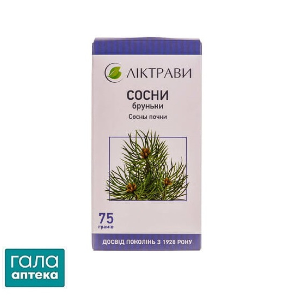 Сосни бруньки