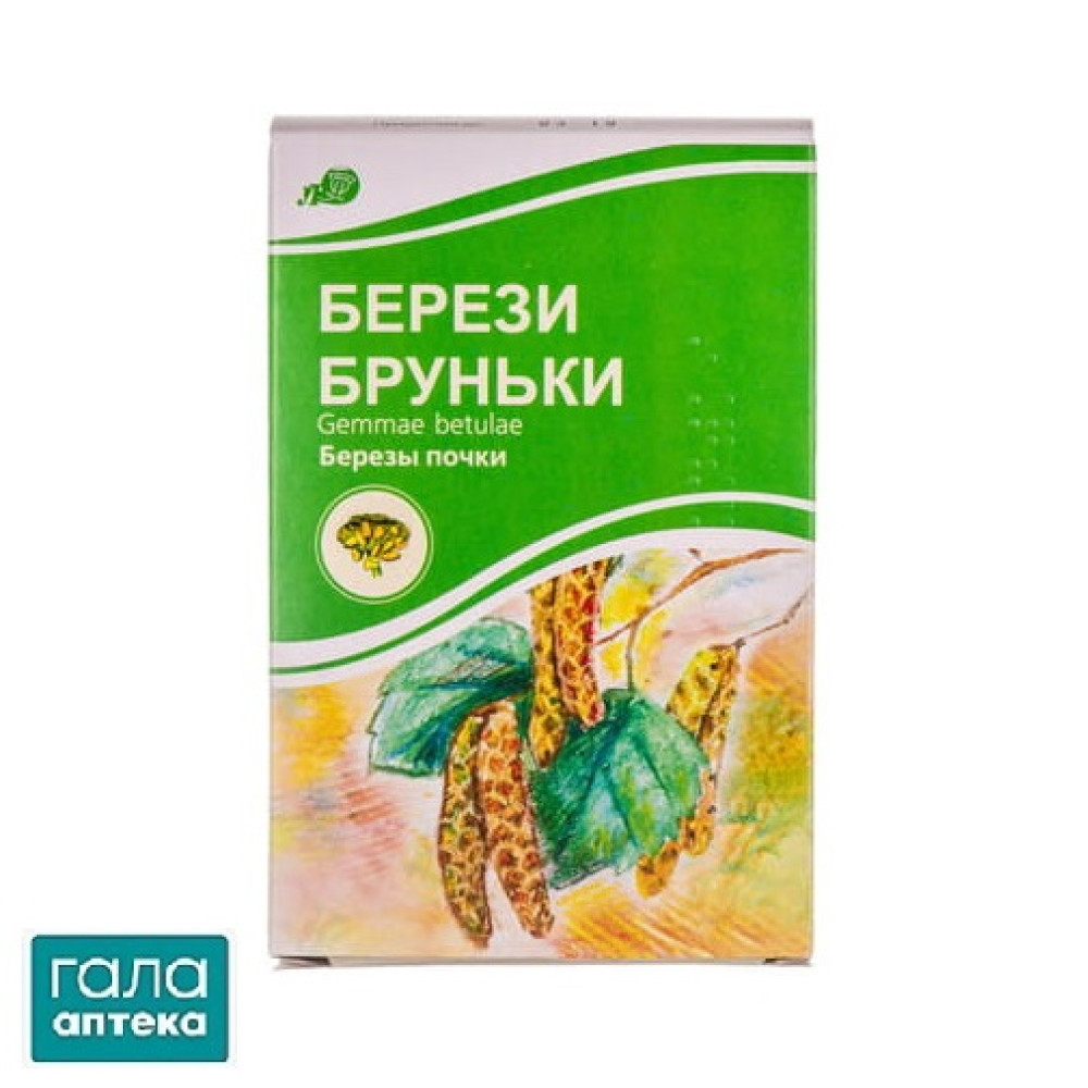 Берези бруньки