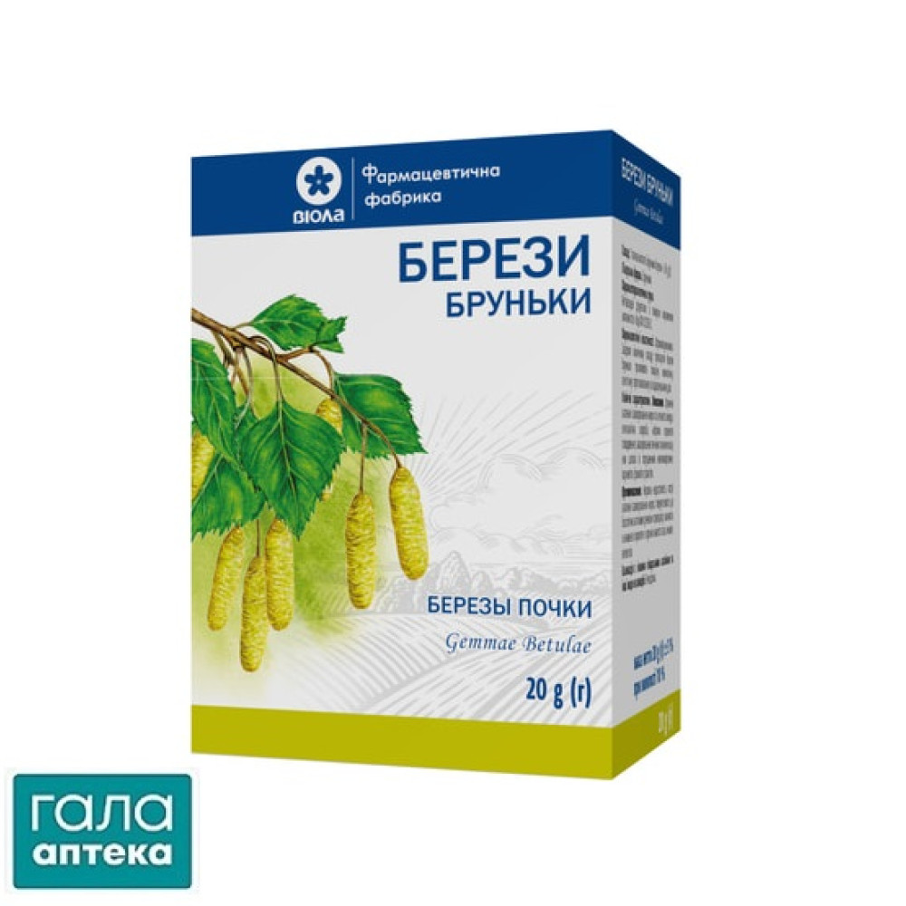 Берези бруньки