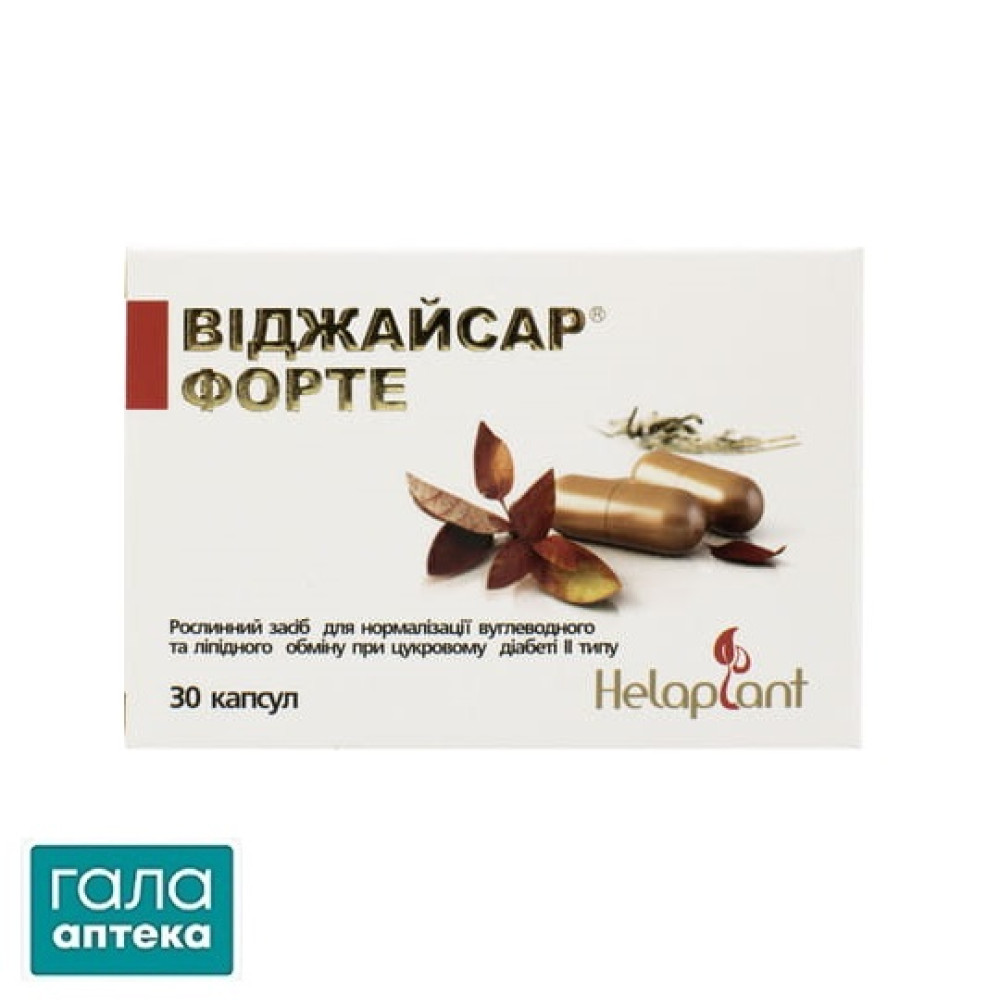Віджайсар форте
