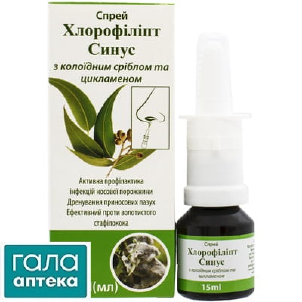 Хлорофиллипт синус