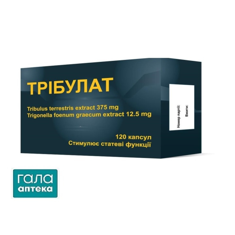 Трибулат
