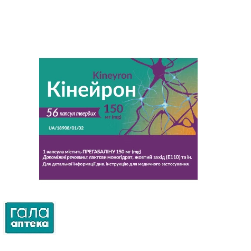 Кінейрон