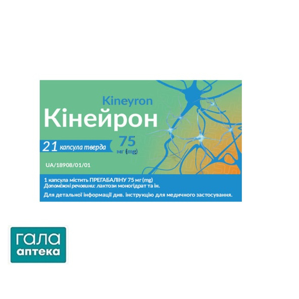 Кінейрон